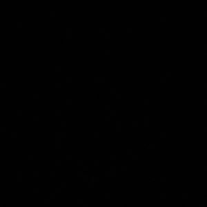 Meet your Posher, Bryce